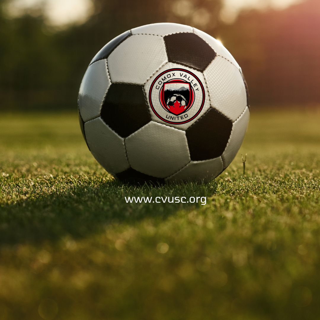 Soccer Ball with logo